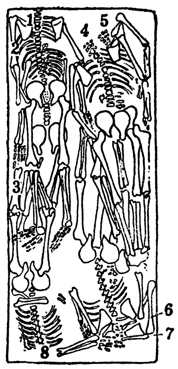 「古代遺跡から3000人分の人骨が見つかった…中国の古代王朝で｢生贄｣が民衆に喜ばれた"意外な理由"」の画像