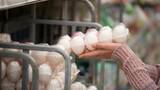「｢消費税ゼロ｣よりずっと効くのに…政治家が語らず､マスコミが報じない選挙で封印された｢物価高の根本原因｣【物価高の深層3選】」の画像2