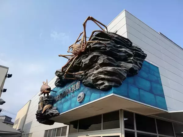 入館者の目当てはシャチでもクジラでもない…東京から約1時間の地方都市にある｢日本唯一の水族館｣の正体【2026年4月BEST】