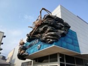 入館者の目当てはシャチでもクジラでもない…東京から約1時間の地方都市にある｢日本唯一の水族館｣の正体【2026年4月BEST】