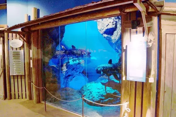 「入館者の目当てはシャチでもクジラでもない…東京から約1時間の地方都市にある｢日本唯一の水族館｣の正体【2026年4月BEST】」の画像