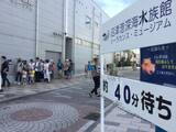 「入館者の目当てはシャチでもクジラでもない…東京から約1時間の地方都市にある｢日本唯一の水族館｣の正体【2026年4月BEST】」の画像3