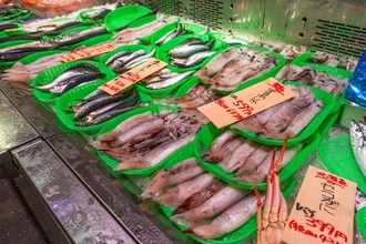 ダントツ日本一の水揚げ量なのに8割は人間の口に入らない…｢刺身にしたらうまそう｣あまりに不遇な魚の名前