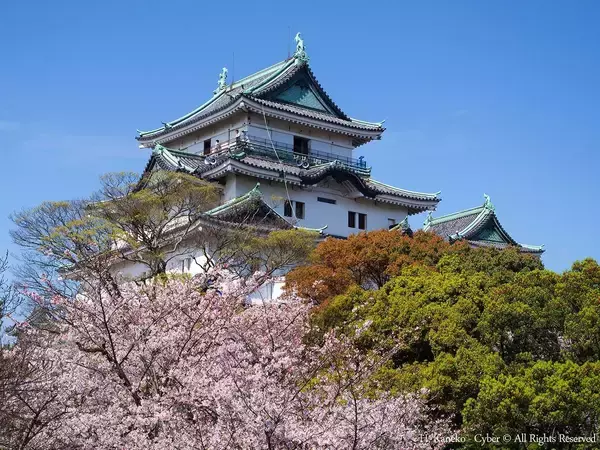 「石田三成でも､加藤清正でも､福島正則でもない…秀長に見抜かれ､豊臣家で最も出世した"戦国武将の名前"」の画像