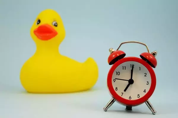 「就寝時間でも勉強開始時間でもない…多くの東大合格者の親が毎日時間をズラさず粛々と行う2つの習慣」の画像