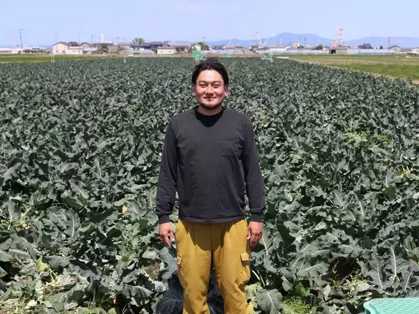 「ブロッコリーが｢半世紀ぶりの指定野菜｣に大出世…かつてのライバル｢カリフラワー｣と明暗を分けた意外な理由」の画像