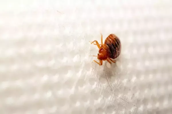 「予約した高級ホテルは｢千葉の廃墟｣だった…海外メディアが報じた"世界最大級"の宿泊予約サイトの深刻な欠陥」の画像