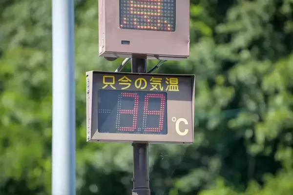 「麦茶でもスポドリでも経口補水液でもない…最新研究で判明､熱中症を防ぐ｢コンビニで買える飲み物｣の名前」の画像