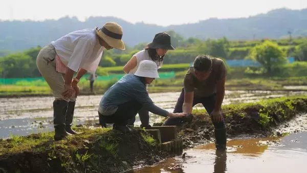 「｢地域のつながり｣には意外な効果があった…京都大学教授らの研究で判明｢住んで幸福になりやすい町｣の特徴」の画像
