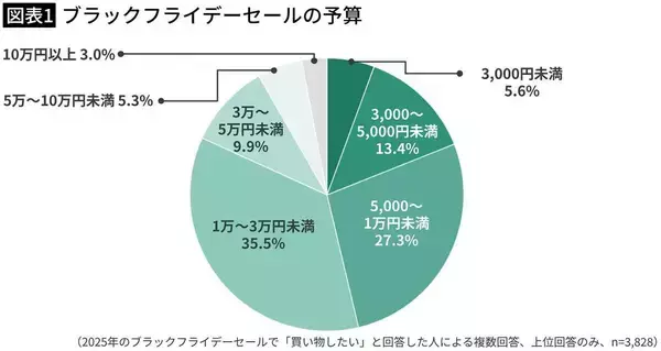 「ブラックフライデーで｢爆買い｣しても後悔しない…賢い人がセール1週間前からやっている"3つの準備"」の画像