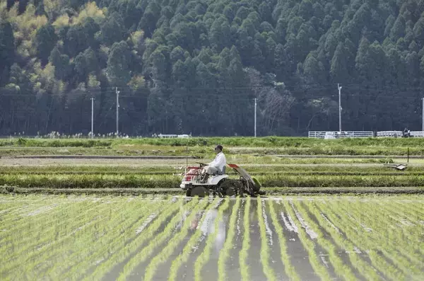 「食料品の消費税ゼロで生活はむしろ苦しくなる…高市首相が目を背け､新聞もテレビも報じない"物価高の元凶"」の画像
