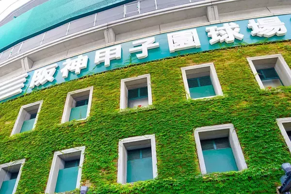 「だから殺人的暑さでも｢夏の甲子園｣をやめられない…｢刺｣｢殺｣｢盗｣よりずっと恐ろしい"聖地"という言葉の呪い」の画像