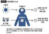 「コーヒーを飲む時間によっては｢夜型→朝型｣の転換が可能…新しくわかった｢カフェイン｣の魅力的な効果」の画像2