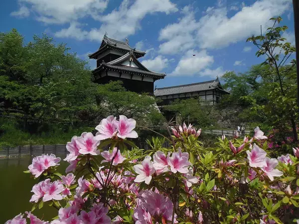 「｢豊臣兄弟｣の主人公･秀長がいなければ首都は東京ではなかった…秀吉の弟が日本史に残した偉大過ぎる功績」の画像