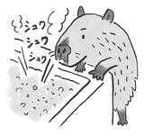 「入浴タイミングが｢老後の健康｣を左右する…1日10分のお風呂で健康効果を最大化させる｢入浴剤の絶対ルール｣」の画像2