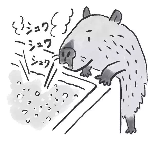 「入浴タイミングが｢老後の健康｣を左右する…1日10分のお風呂で健康効果を最大化させる｢入浴剤の絶対ルール｣」の画像