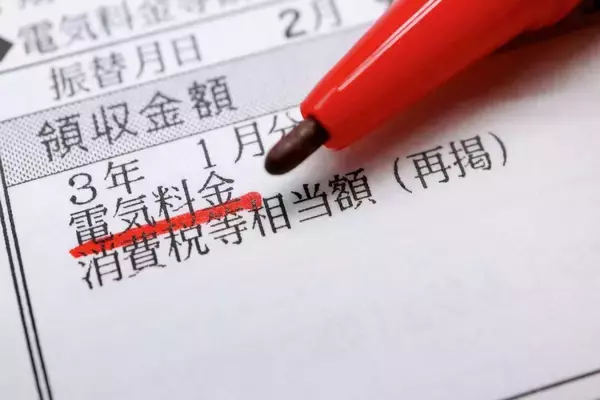 エアコンでも洗濯乾燥機でもない…エネルギーの3割をつぎ込み電気代を爆上げする"金食いアイテム"の正体