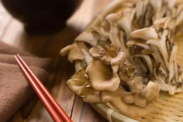 「マスクでも空気清浄機でもない…花粉症ジゴクを和らげる内科医直伝「"免疫の暴走"を止める定番食材5選」」の画像