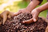 「スタバではなくドトールを選ぶのは"センスのない選択"なのか…ドトールでコーヒーを飲む哲学的意味【2026年4月BEST】」の画像3