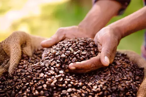 「スタバではなくドトールを選ぶのは"センスのない選択"なのか…ドトールでコーヒーを飲む哲学的意味【2026年4月BEST】」の画像