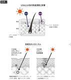 「だから同年齢で｢見た目｣に天と地の差がでる…大学病院の医師が伝授｢老化の進行を大幅に遅らせる手段｣【2025年12月BEST】」の画像2