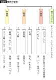 「そりゃ体にいいわ…内科医が｢血糖値の急上昇を避けながらデザートを楽しめる｣という固くて有名なアイス」の画像3
