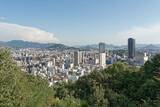 「｢食事をしたい者は死人を山に運べ｣…原爆投下直後の広島で復旧活動に当たった水兵たちの"悲惨なその後"」の画像2