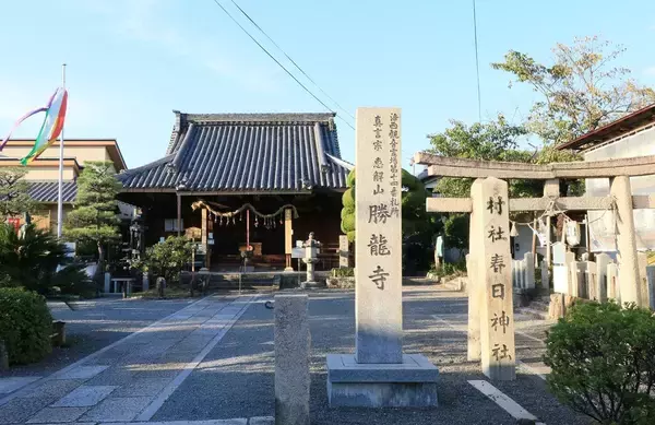 「妻を自害に追い込んだ三成を夫は許さなかった…信長の命で結婚､本能寺の変で引き裂かれた戦国一の熱愛夫婦」の画像