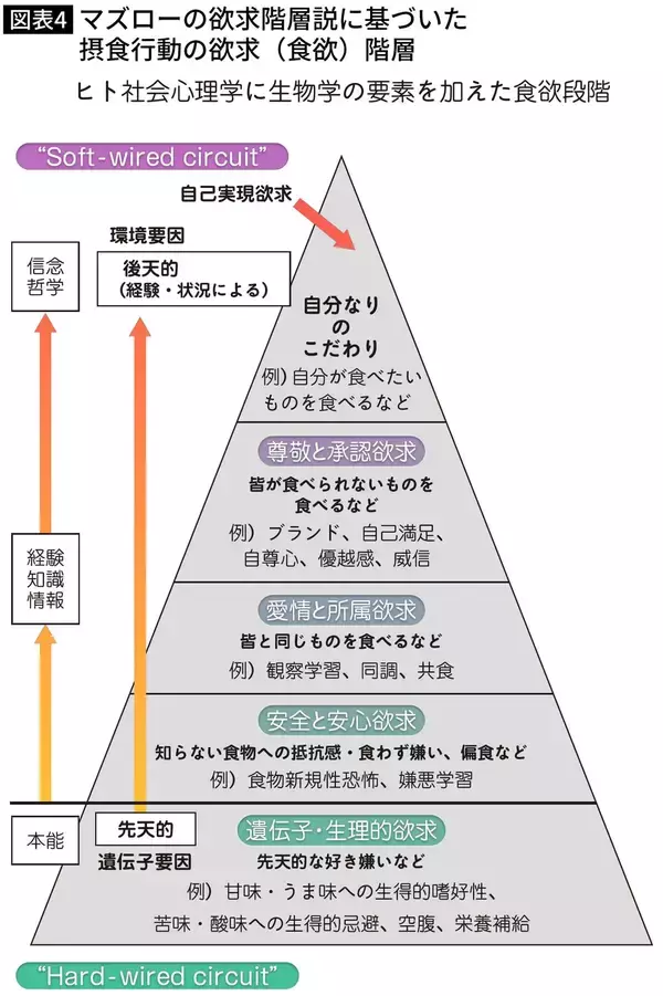 「こりゃムリなくダイエットが成功するわ…東大教授｢毎日の食事から控えめにしたいたった2つの栄養素｣」の画像