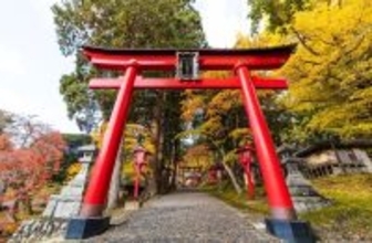 鳥居の前で｢深いおじぎ｣は必要ない…ご利益の専門家｢神社参拝の"意外と知らないマナー"｣