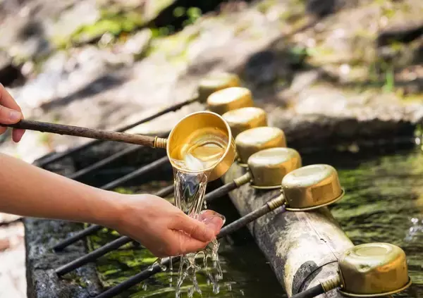 「鳥居の前で｢深いおじぎ｣は必要ない…ご利益の専門家｢神社参拝の"意外と知らないマナー"｣」の画像
