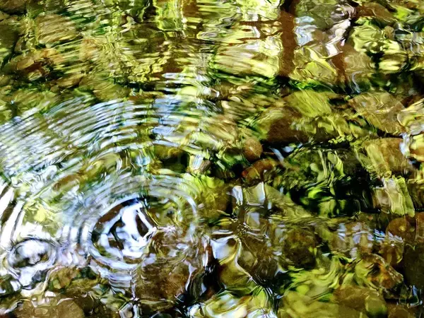「鳥居の前で｢深いおじぎ｣は必要ない…ご利益の専門家｢神社参拝の"意外と知らないマナー"｣」の画像