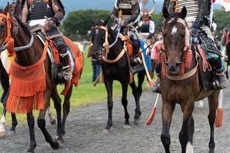 ｢本能寺の変の首謀者｣を当時の公家は知っていた…信長の長宗我部いじめで最も立場を失った明智光秀配下の武将