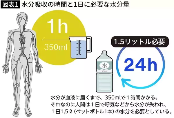 「ネギでもしょうがでもない…熱中症研究者が｢そうめんつゆに入れるだけ｣と勧める"隠れ脱水"を防ぐ身近な食材」の画像