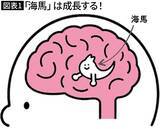 「AI頼りの生活で脳は劣化し老化する…脳内科医が｢記憶力を著しく損なう｣と危惧する"現代人の行動"」の画像2