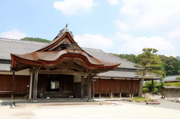 「秀吉に乗っ取られ表舞台から消されたが…本能寺で運命が狂った｢織田信長の血統｣がたどる"意外なその後"」の画像