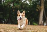 「ベッドに横たわり､眺めるだけでいい…ジェーン・スーが｢心がしんどい時｣のために常備しているもの」の画像2
