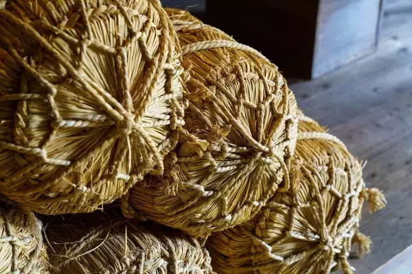 「なぜ信長は｢3万人vs1.5万人｣の優勢でさっさと逃げたのか…秀吉が大活躍した｢金ケ崎の退き口｣の”真相”」の画像