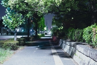 エビやカニを想わせる濃密な旨味とコク…近所の公園でタダで採れる｢今が旬｣な高級食材の名前