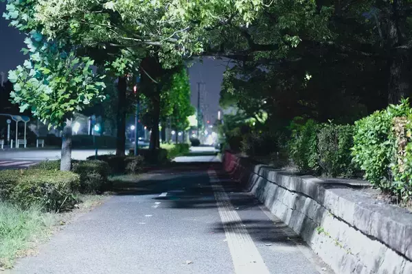 エビやカニを想わせる濃密な旨味とコク…近所の公園でタダで採れる｢今が旬｣な高級食材の名前
