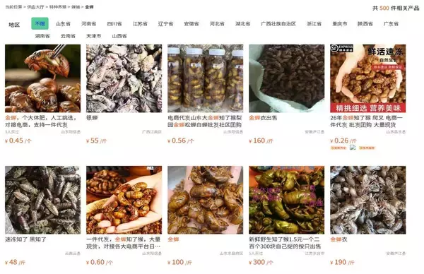 「エビやカニを想わせる濃密な旨味とコク…近所の公園でタダで採れる｢今が旬｣な高級食材の名前」の画像