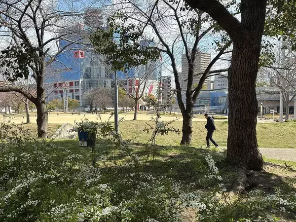 「｢できない理由を探しても仕方ない｣大阪･泉佐野市長が全国初の"自治体版赤ちゃんポスト"に踏み切ったワケ」の画像