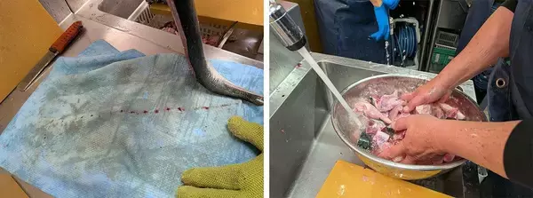 「ブリが｢生臭い｣と感じる人は買い方が違う…元水産庁職員が｢スーパーで確認して｣という商品ラベルにない要素」の画像