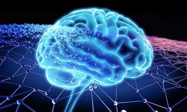 ストレッチや体操はむしろマイナス…米名門大学が証明した55～80歳の記憶力を改善させる｢週3回｣の日課【2026年7月BEST】