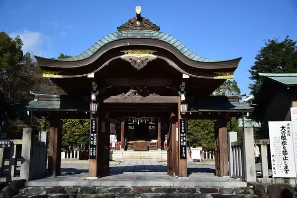 「だから信長は｢豊臣兄弟｣が羨ましかった…自らは弟を斬り､息子たちも殺し合った織田家の"救いなき結末"」の画像