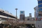 「そりゃ暮らしてみなけりゃわからんわ…｢住みたい街4位｣なのに"住みごこち433位"の意外な街の名前」の画像4