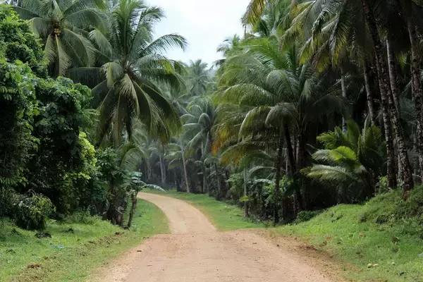 「ミミズを食べて命をつないだ…ダイエーの｢よい品をどんどん安く｣のウラにあった中内㓛の消せない｢飢え｣」の画像