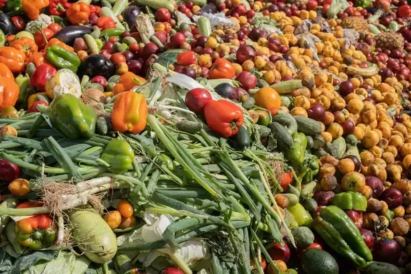 「｢日本の農業はダメ｣と嘆くのは日本人だけ…アリババ創業者が日本の小規模農業に人類の未来を見たワケ」の画像