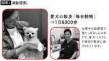 「見た目年齢に40歳の差を生む…医師が｢太りにくい体をつくる｣と話す1日にわずか10回の"脱ET体操"」の画像2