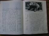 「遺体の両目は飛び出し､顔面はグジャグジャ…札幌に現れ､幼児含む4人を食い荒らした｢最悪の殺人グマ｣の正体【2025年11月BEST】」の画像2